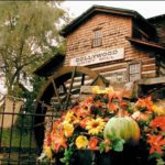 Dollywood Grist Mill flowers