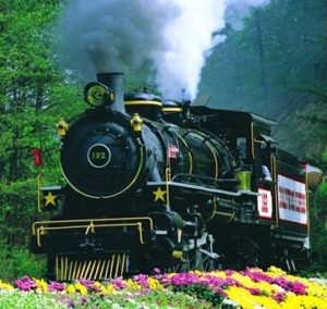 Dollywood Express flowers
